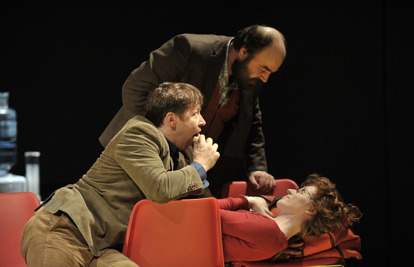 Летние осы кусают нас даже в ноябре